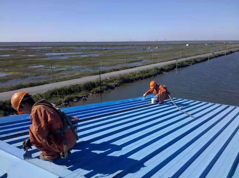 宋洛乡钢结构屋面漏水原因